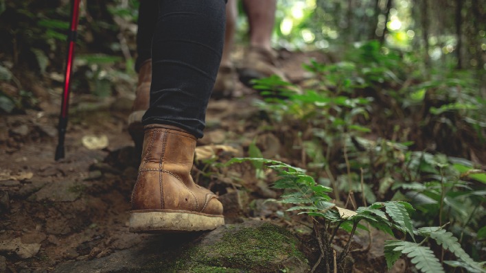 hike in Sierra de la Laguna