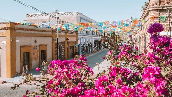 galleries in todos santos 