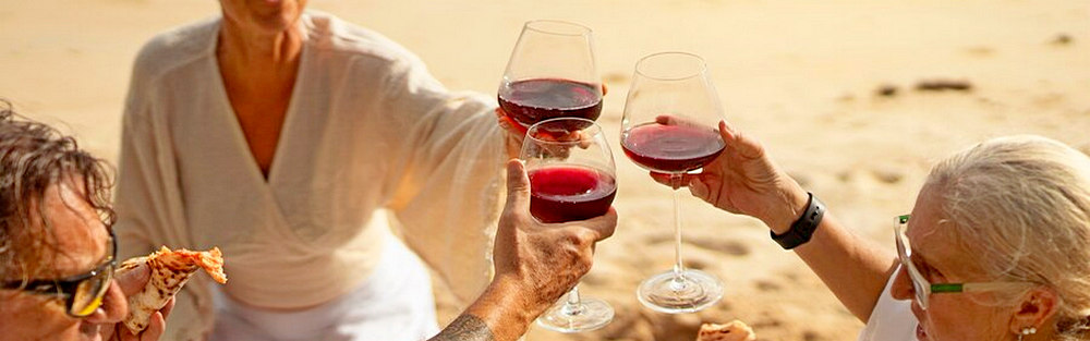 Enjoy Todos Santos for wine tasting in the vineyard